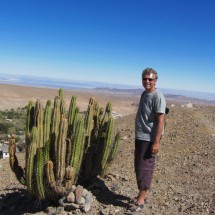 Cactus with the valley of Mamiña